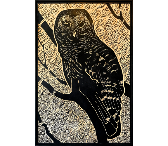 "Barred Owl" - Sara Gettys
